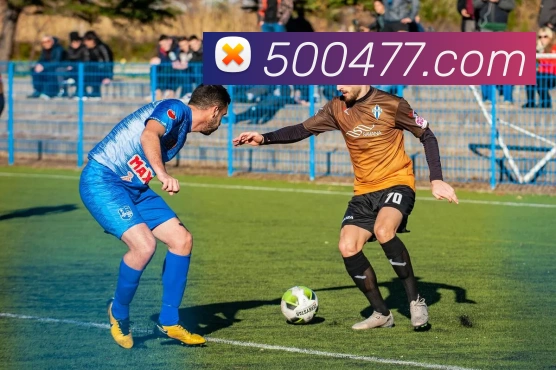 500彩票网官方平台生态图